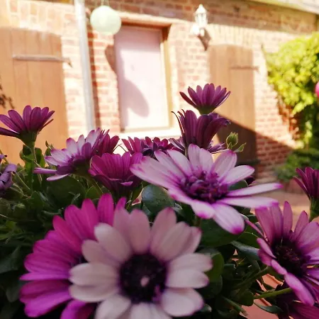 Διαμέρισμα Lychen-daheim, Im Herzen Von *