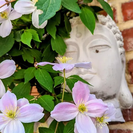 Daire Lychen-daheim, Im Herzen Von