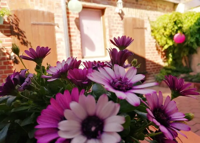 Daire Lychen-daheim, Im Herzen Von *