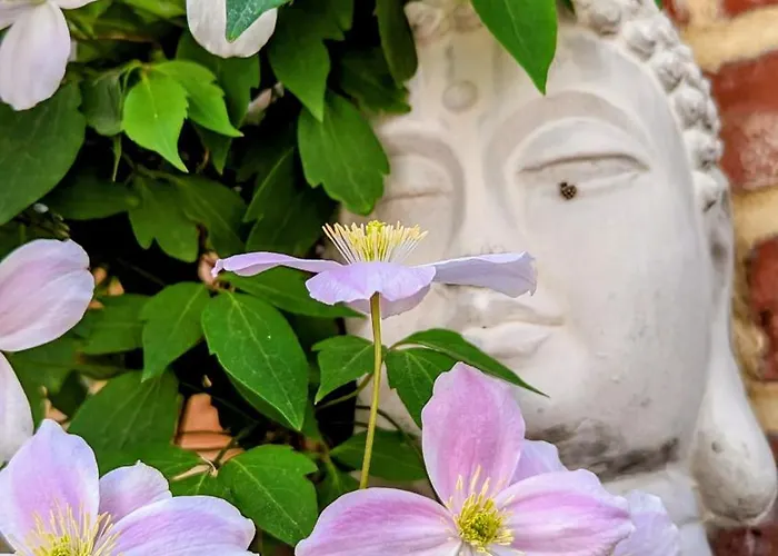 Daire Lychen-daheim, Im Herzen Von